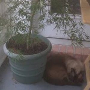 Meet your Posher, Aaron